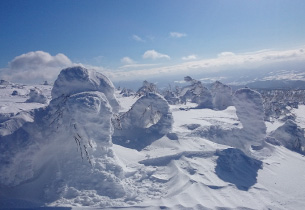 亲身感受极品粉雪